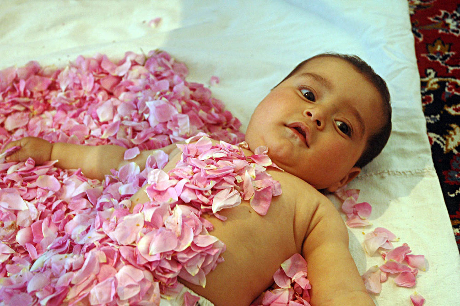 برگزاری چهاردهمین جشنواره ملی گل غلتان نوزاد دامغان در شهر امیریه